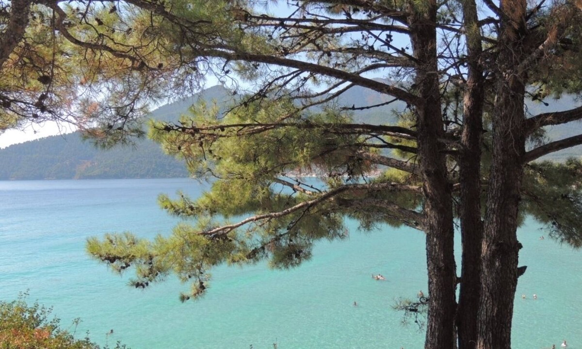 Air Conditioning At The Beach | Golden Beach