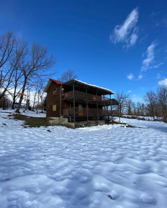 Lake Plastiras Apartment | Traditional Wooden Apartment
