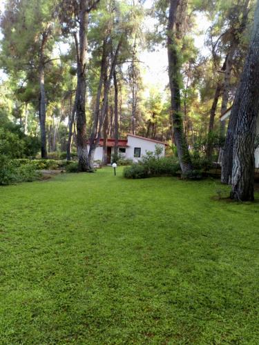 Sane Villa | Villa Anty