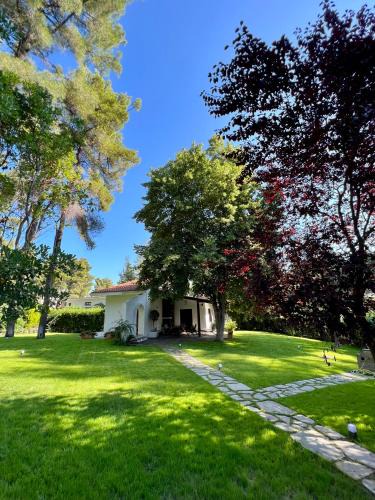 Sane Villa | Villa Diomedes