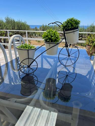 Pilalimata House | Villa Evdokia II