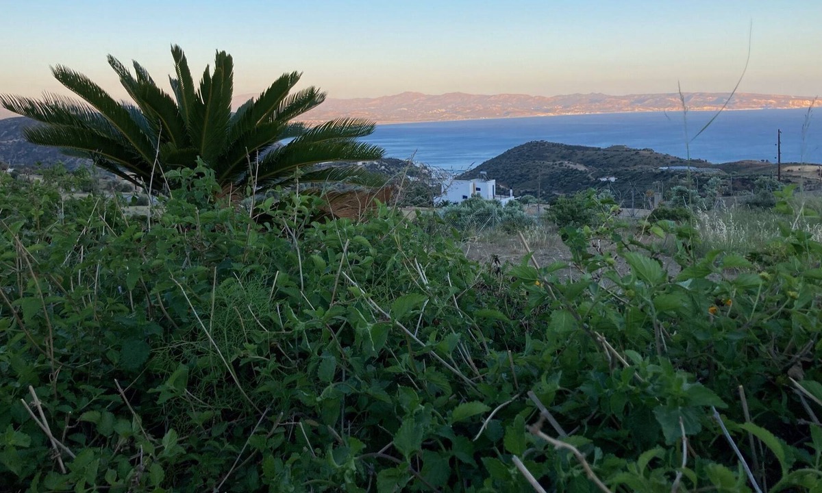 Agia Galini Villa | Villa Lakota