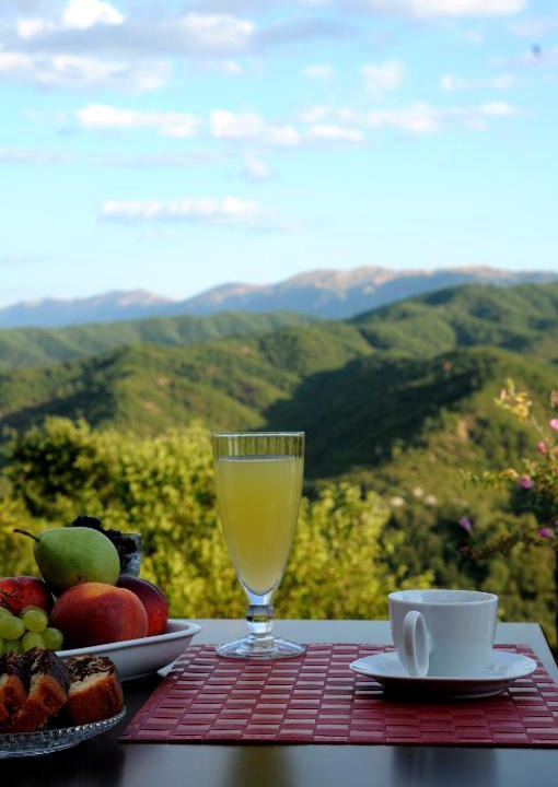 Koukkoulion House | Villa Menta in Zagori