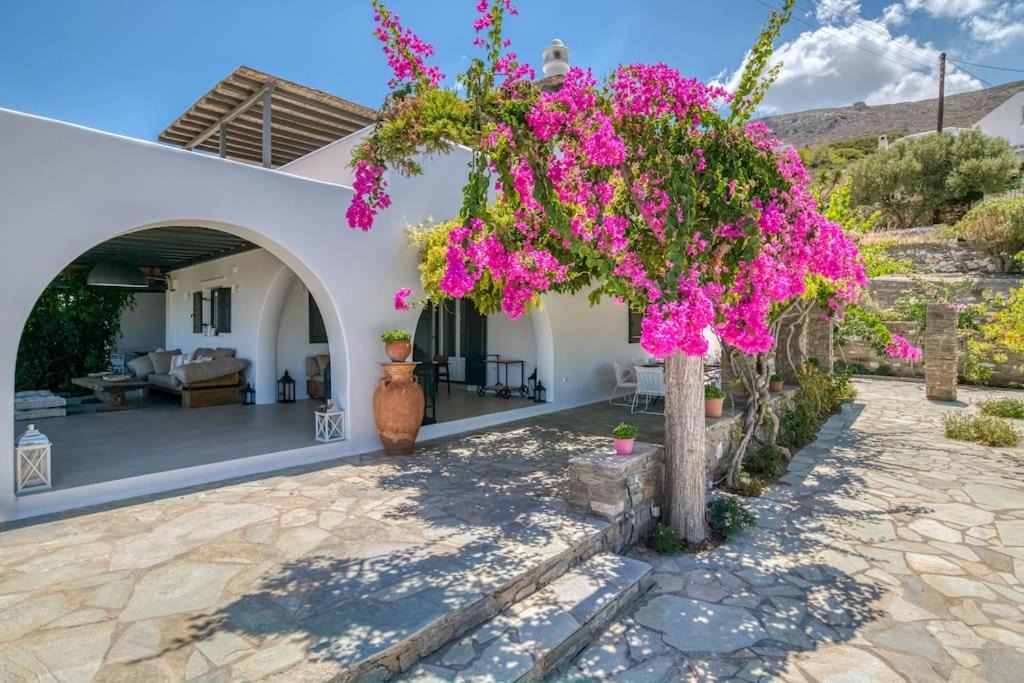 Paros Villa | Villa Primrose