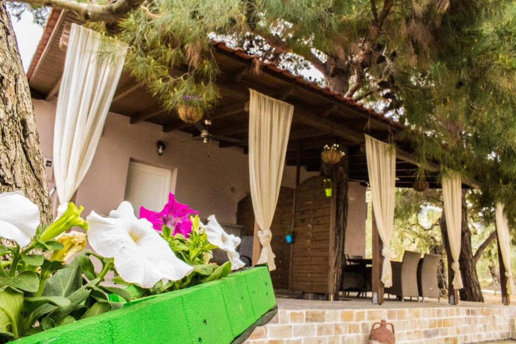 Megalos Prinos Apartment | VILLA RONA