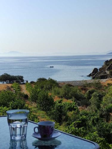 Naxos Apartment | Votsalo Beach House