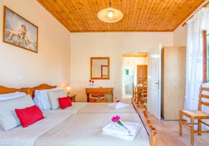 1 bedroom apartment, walking distance to amenities