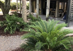 3 BR, 2 BA Charming Elevated House - 1 Block to Beach! Large Screened Porch! in Isle of Palms