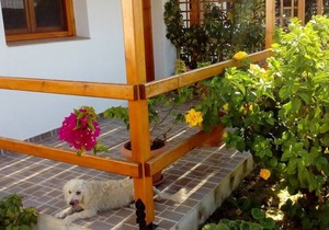 #6 Drakano rooms,for nature lovers