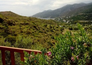 #7 Drakano Studios, for nature lovers