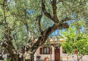 Agrikia Villa