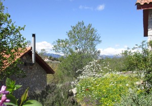 Amygdalia, a Stone House, a quiet landscape. Leonidion 95m2.
