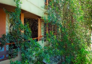 Apollonia Hotel Apartments