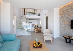 Aros luxury villas 1