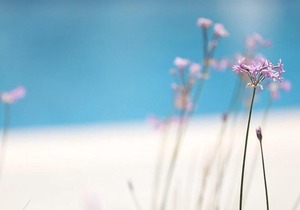 Ferienhaus Rodos für 1 - 5 Personen mit 2 Schlafzimmern in Rodos