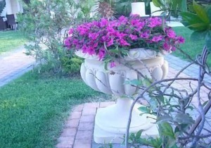 Holiday apartment Polichrono for 1 - 2 persons with 1 bedroom - Holiday apartment