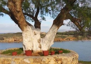 Holiday apartment Stalos for 1 - 4 persons with 1 bedroom - Holiday apartment