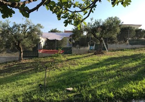 Housing Pefkos
