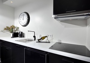K&K's Ater Albus Junior Suite