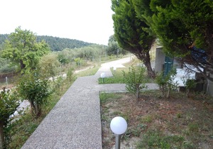 Kripis Studio Paliouri No3. Paliouri Apartments for rent