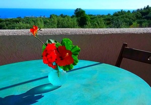 La Luna Blu "Owl" apartment, sea view, 500 meters from the beach
