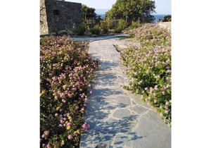 Loutra Olive Garden Stone House #3
