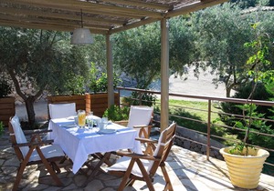 Luxurious villas with sea view villa Myrtia