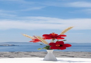 Mykonos View Hotel