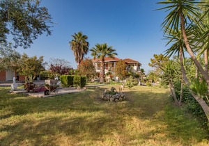 Olive Tree Apartment