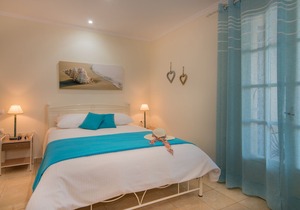 Olive Tree Apartment