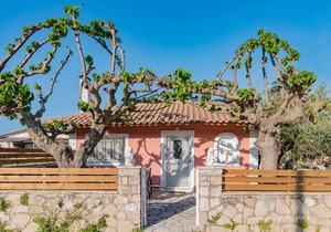 Olive Tree House …..