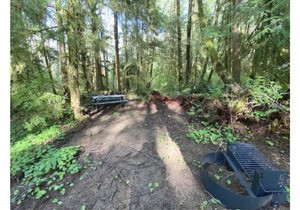 Primitive Tent Site #11- Beautiful Forested Property in Forks