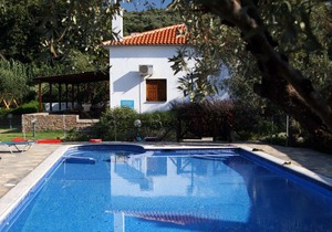 Quiet Beachside Spacious Bungalows + Amazing Seaview + Pool