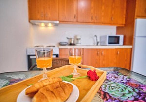 Stacys Apartment 1 near Sidari
