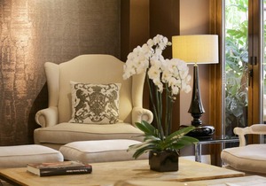The Y Hotel