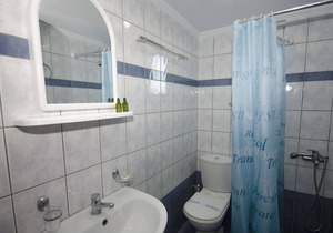 Traditional Villa with Apartements in Olive Grove