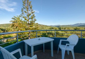 Traditional Villa with Apartements in Olive Grove