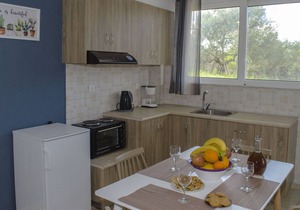 Traditional Villa with Apartements in Olive Grove