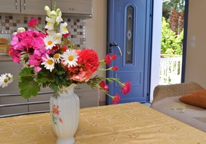 Tzivras Standard Apartment