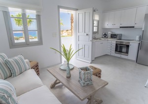 Villa Agia Irini Cove 3 with common pool for only 3 villas