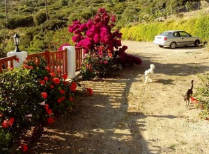 Drakano Nature Lovers | Ikaria