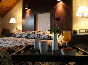 Alexandros Boutique Hotel | Nea Kios