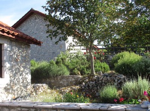 Amygdalia Stone Landscape Leonidion | Fokiano