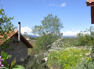 Amygdalia Stone Landscape Leonidion | Fokiano