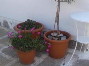 Melangel | Mykonos