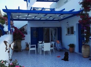 Bouganville | Stegna