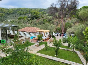Casa Dobrescu Katigiorgis Pelion | Kali Vrysi