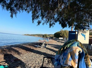 Fotis | Skala Neon Kidonion
