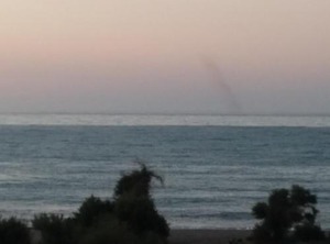 Gerona Mare | Gerani