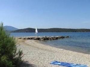 Holiday Millina Persons | Milina
